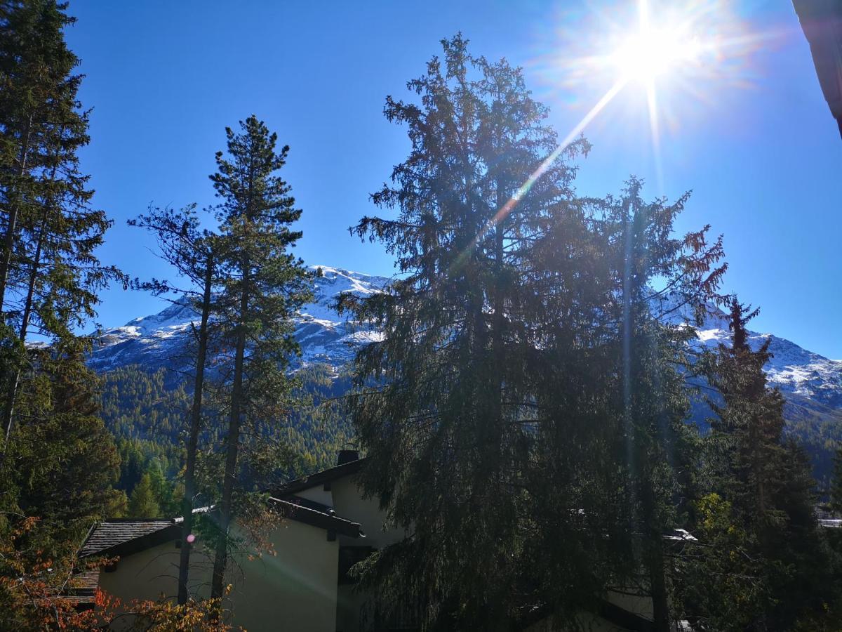 Sankt Moritz Dorf Charme Apartment Eksteriør billede